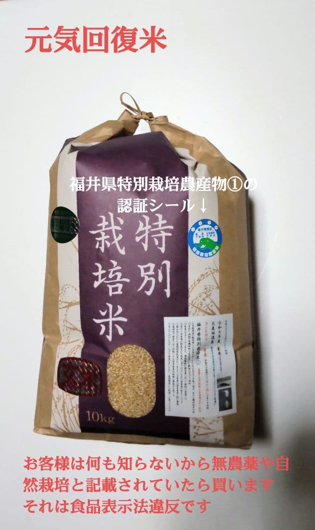 なぜこんなに病気が多いのか？ 玄米10kg 7年産コシヒカリ 特栽①農薬等不使用