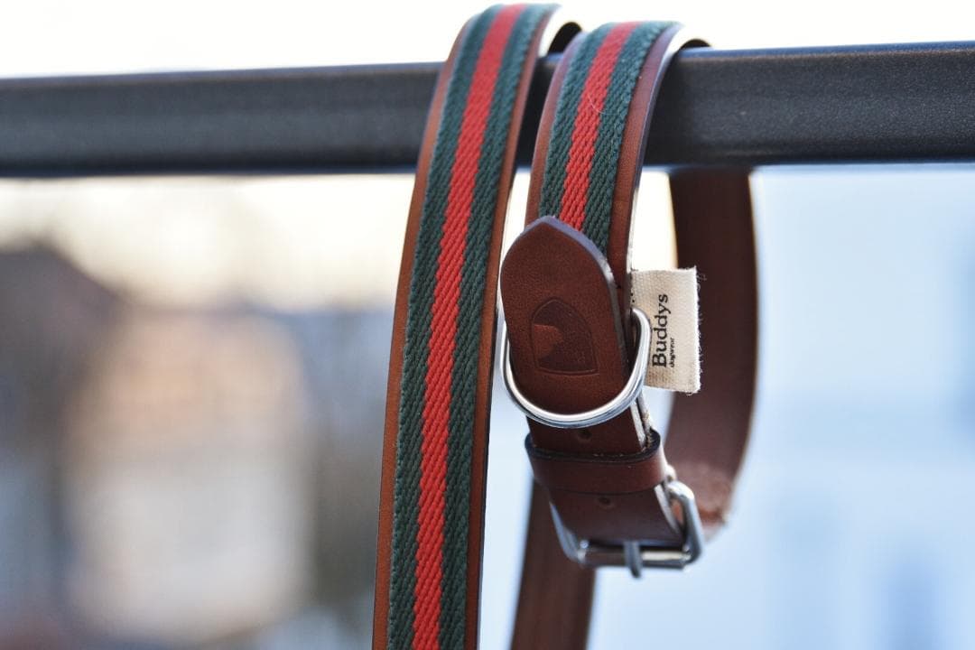 Baseball Green 高級犬用リードと首輪セット（小型犬　中型犬）