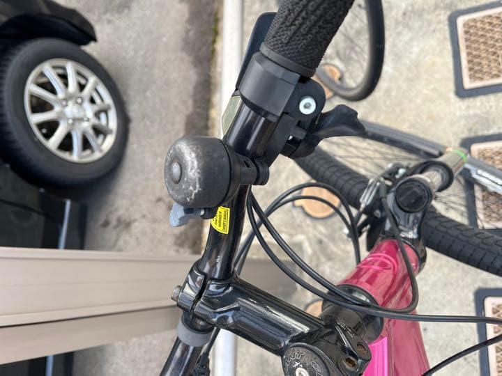 GAIANT snap グレープ