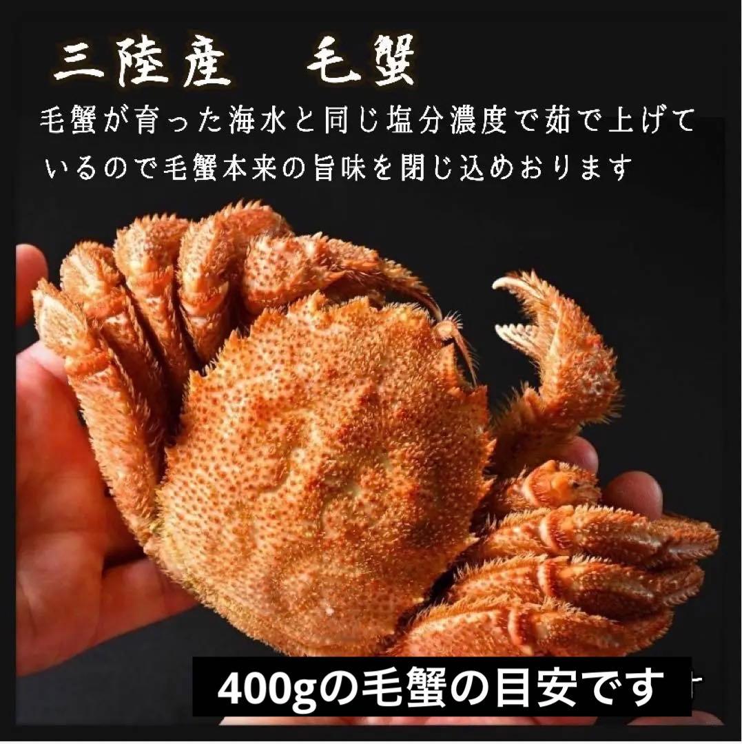 【産地直送】毛蟹 けがに　2尾 800g前後 冷凍クール便 送料込み 三陸産