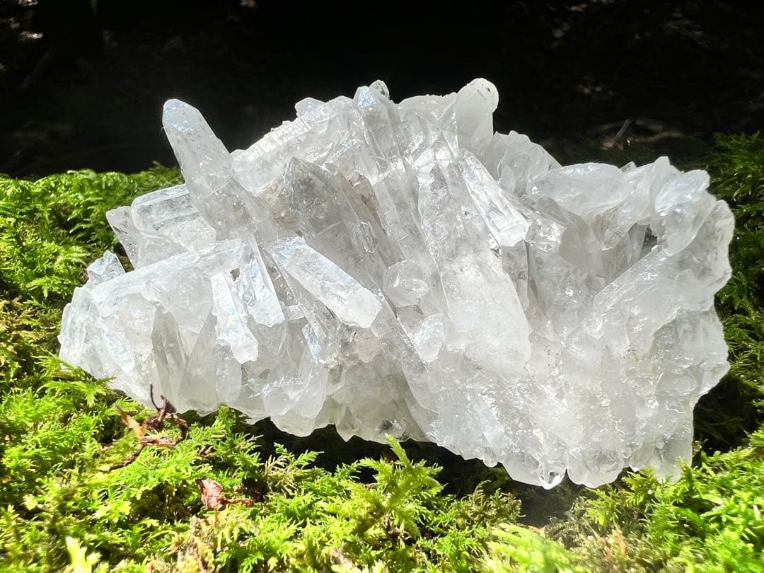 龍脈の精髄 クラスター 宮崎の山が授けた浄化と守護 売上一部保護猫活動に