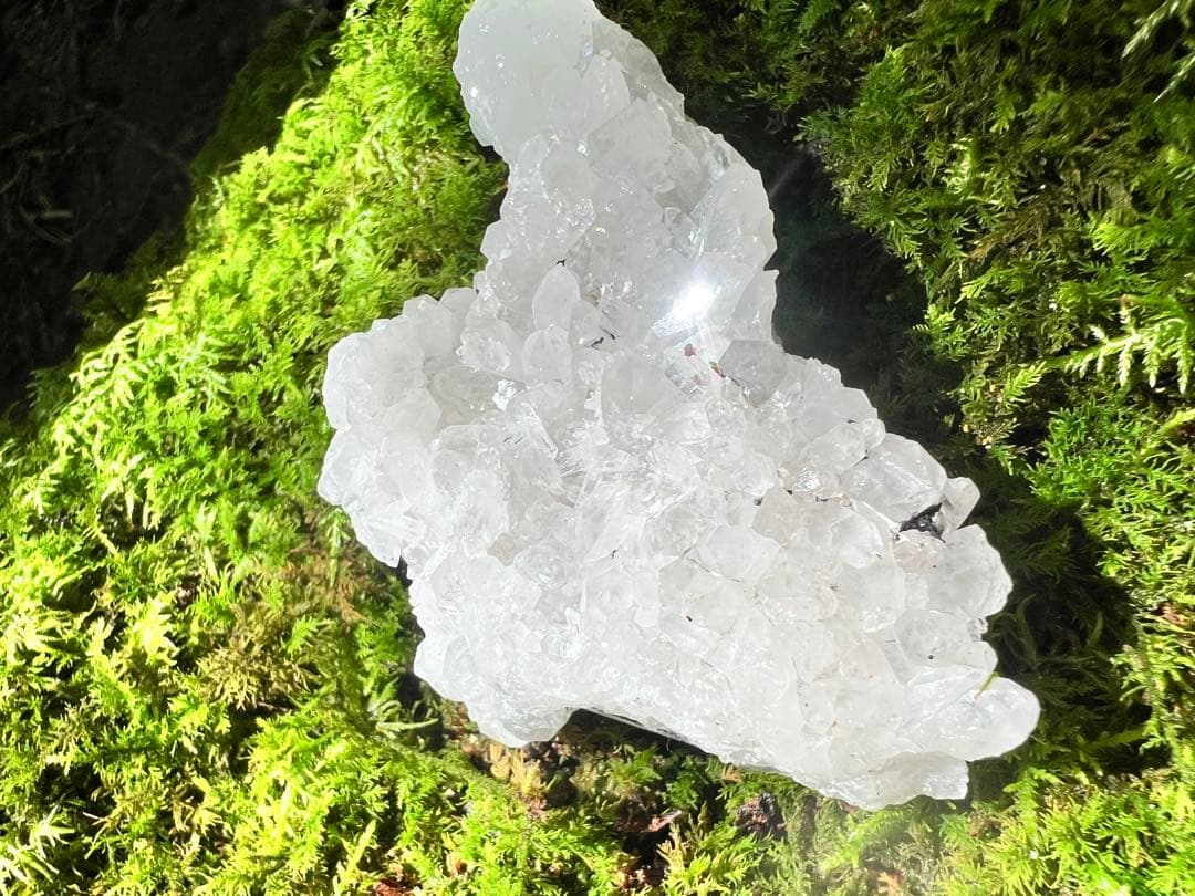 龍脈の精髄 クラスター 宮崎の山が授けた浄化と守護 売上一部保護猫活動に