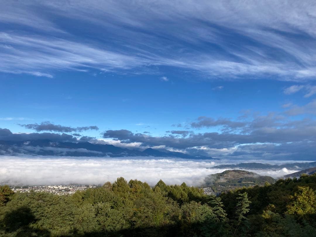 令和7年魚沼産コシヒカリ　精米10kg