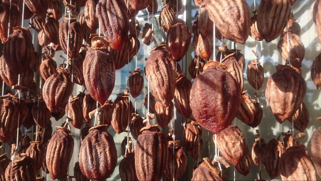 koolon 長野県産 蜂屋柿 干し柿 ３kg