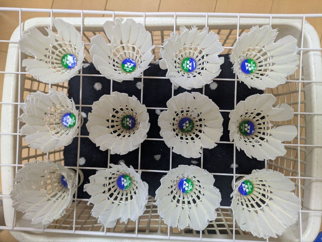 きのこ　バドミントン中古シャトル 120球