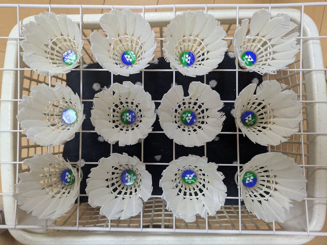 きのこ　バドミントン中古シャトル 120球