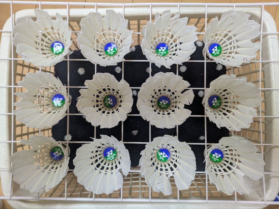 きのこ　バドミントン中古シャトル 120球