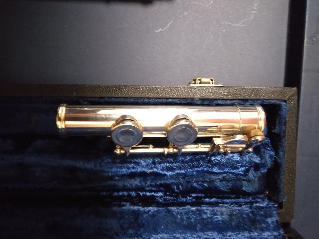 管楽器・吹奏楽器 augusleBuffet