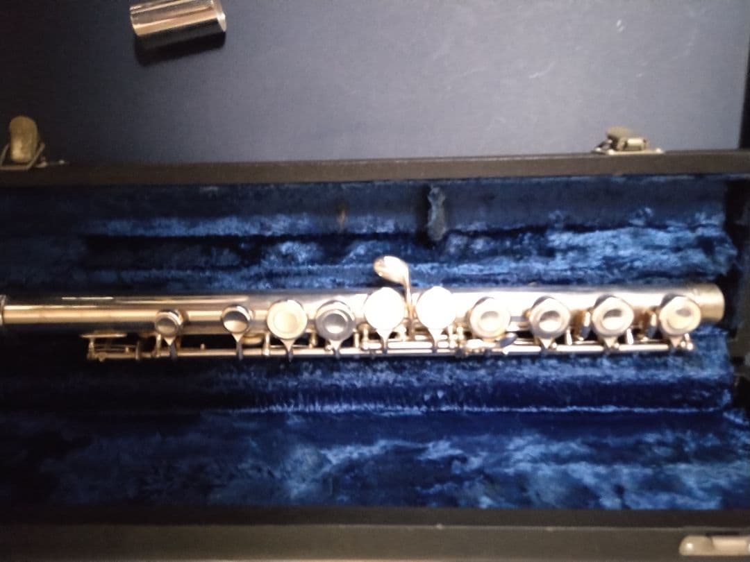 管楽器・吹奏楽器 augusleBuffet