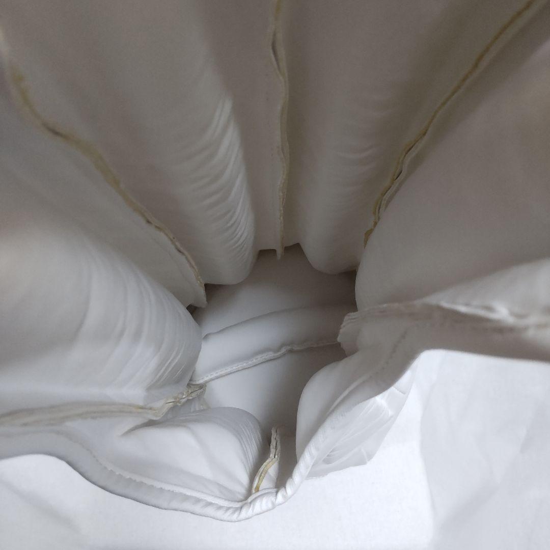 Battle Fitnessドラグローブ L 白 格闘技 痛み軽減グローブ