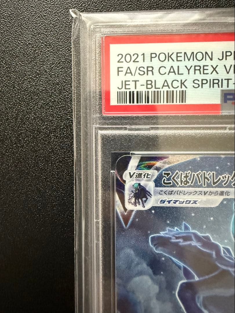 【PSA10】こくばバドレックスVMAX HR S6K 漆黒のガイスト