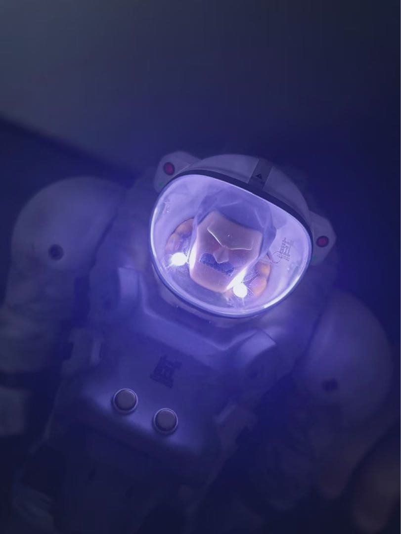 ローフール・パイオニア　第１弾　先駆者　発光　フィギュア　アートトイ//ZCWO