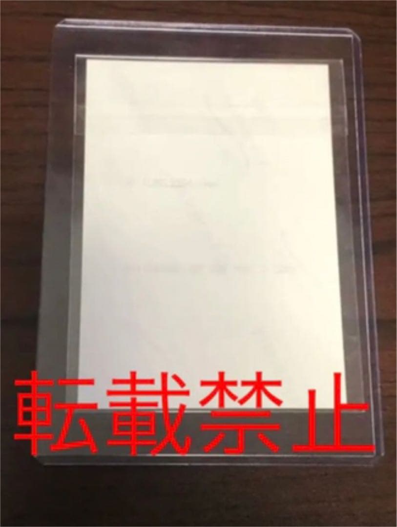 堀北真希　写真金サイン入り　当選品