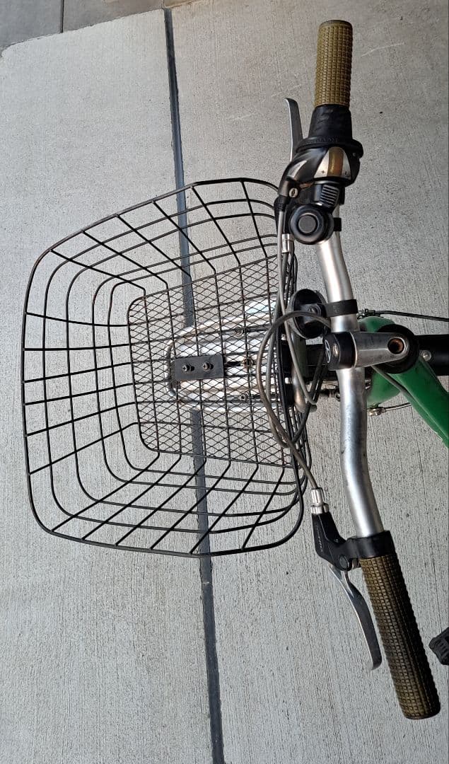 いちこ【直接渡し】 コーダーブルーム　アッソン J24 グリーン