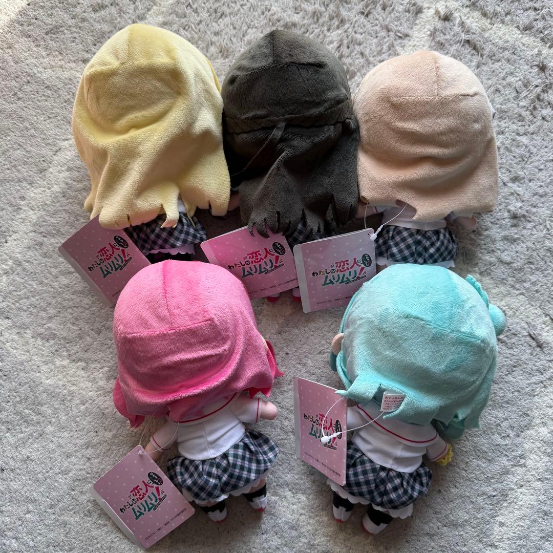 わたしが恋人になれるわけないじゃん みでぃあん ぬいぐるみ わたなれ　5点セット