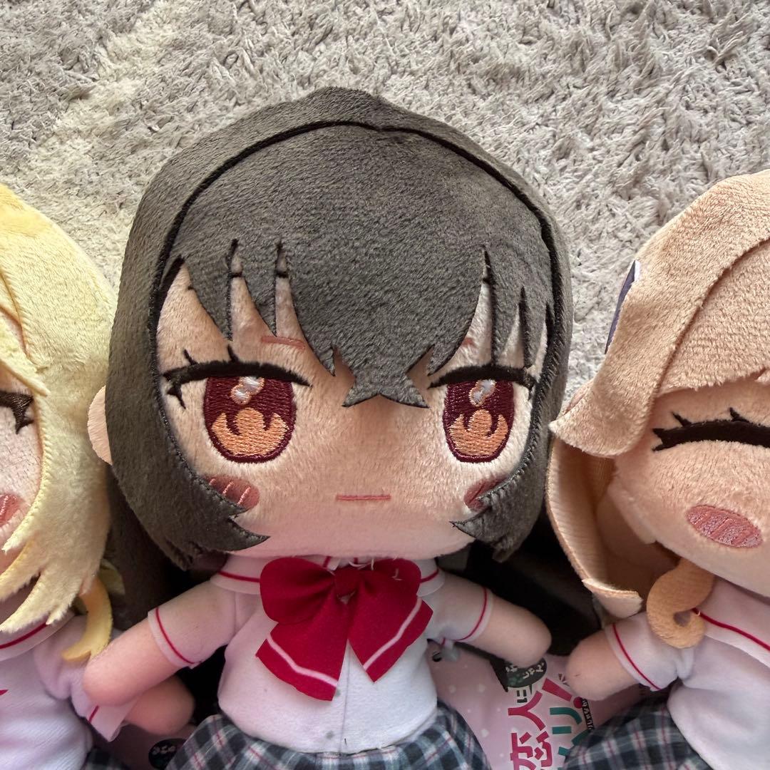 わたしが恋人になれるわけないじゃん みでぃあん ぬいぐるみ わたなれ　5点セット