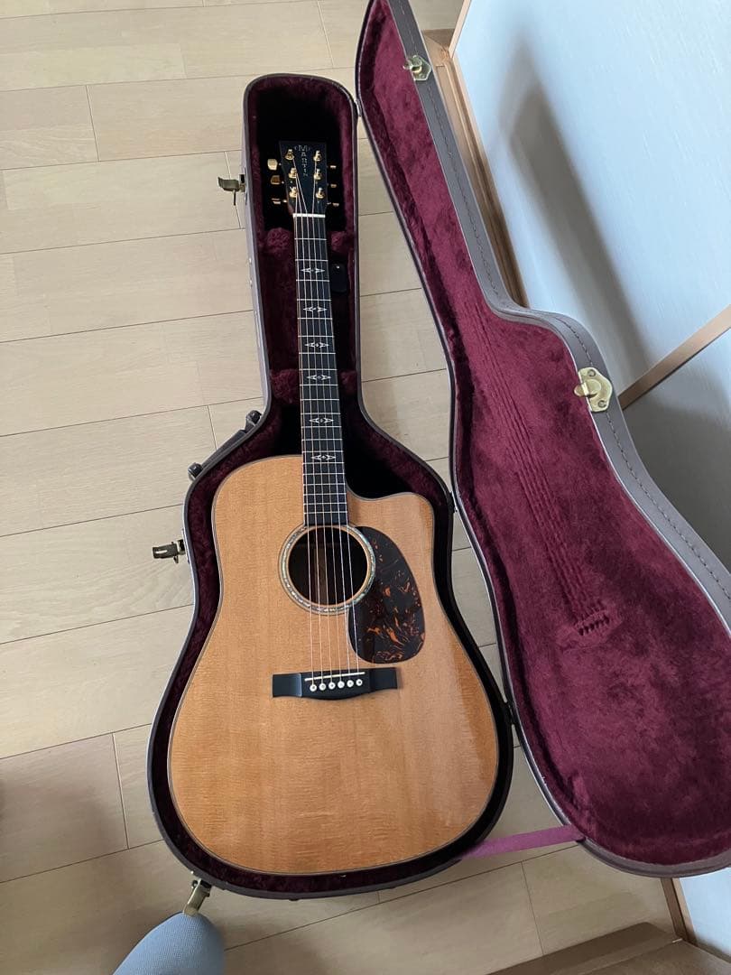 レア/希少　Martin DCPA 1 PLUS マーティン　縦ロゴ