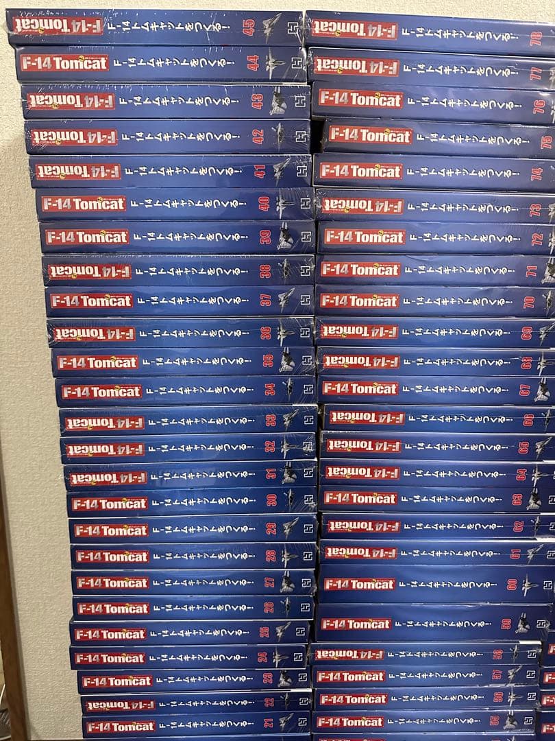 F-14トムキャット