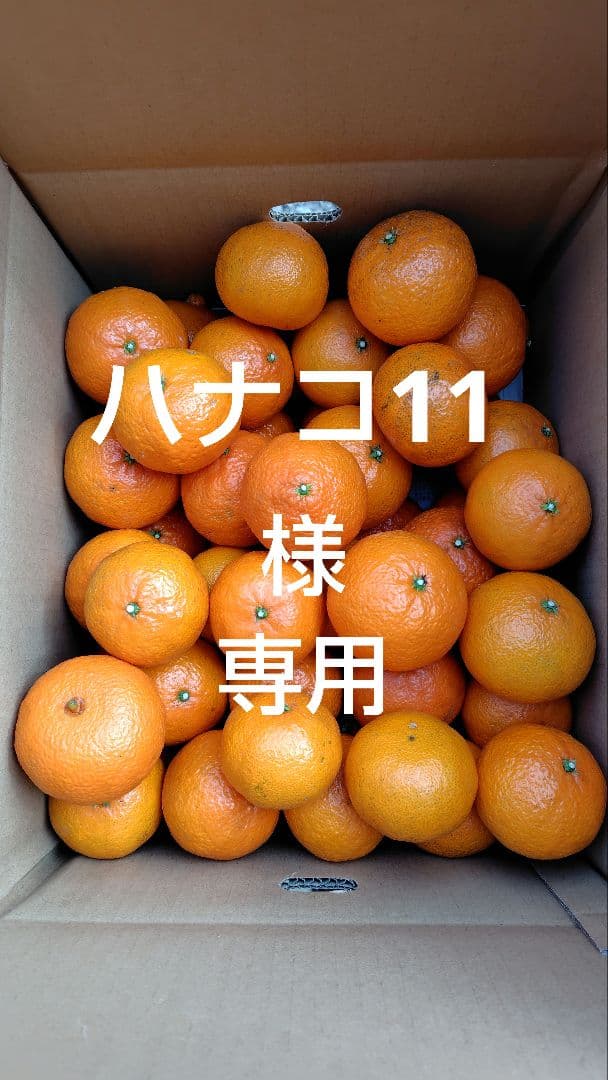 津之輝20㎏(家庭用)ハナコ11#3