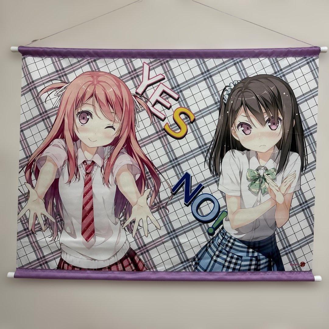 B2サイズ タペストリー 20枚 まとめ売り カントク先生多め