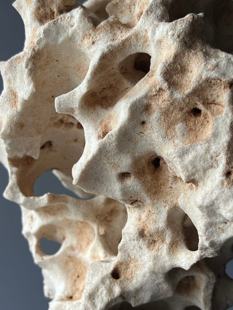 「星漢」　天然石　鑑賞石　飾り石　中国美術　置物　太湖石　台座付き　インテリア