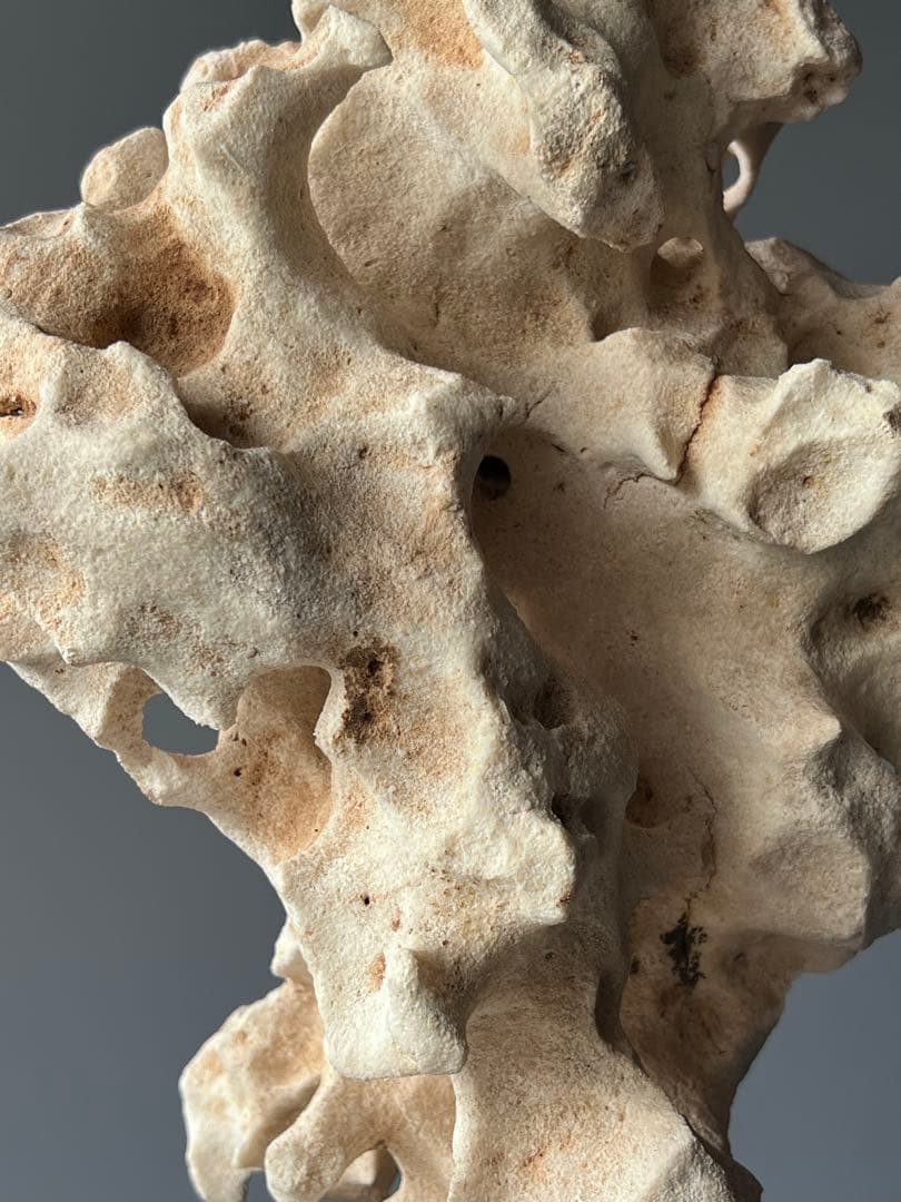 「星漢」　天然石　鑑賞石　飾り石　中国美術　置物　太湖石　台座付き　インテリア