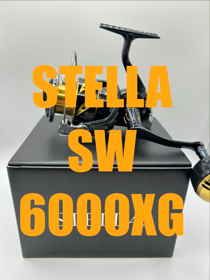 【SHIMANO】20ステラSW6000XG 箱、付属品付き