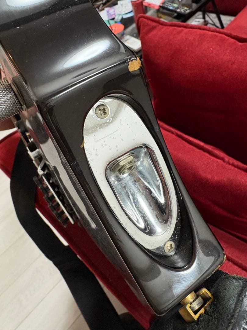 エドワーズ　フォレスト　ギター