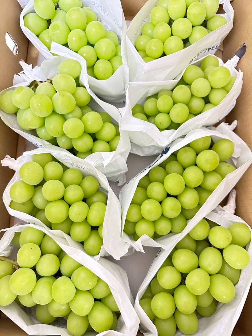 山梨県/長野県/山形県産　シャインマスカット　葡萄　ぶとう　ブトウ　箱込み5kg