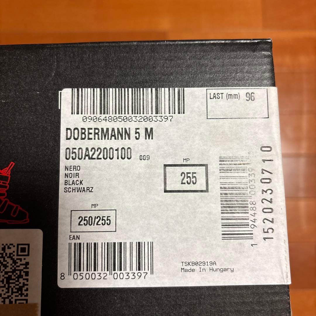 24/25 新品　ノルディカ　ドーベルマン5 　 M/ 25/25.5cm