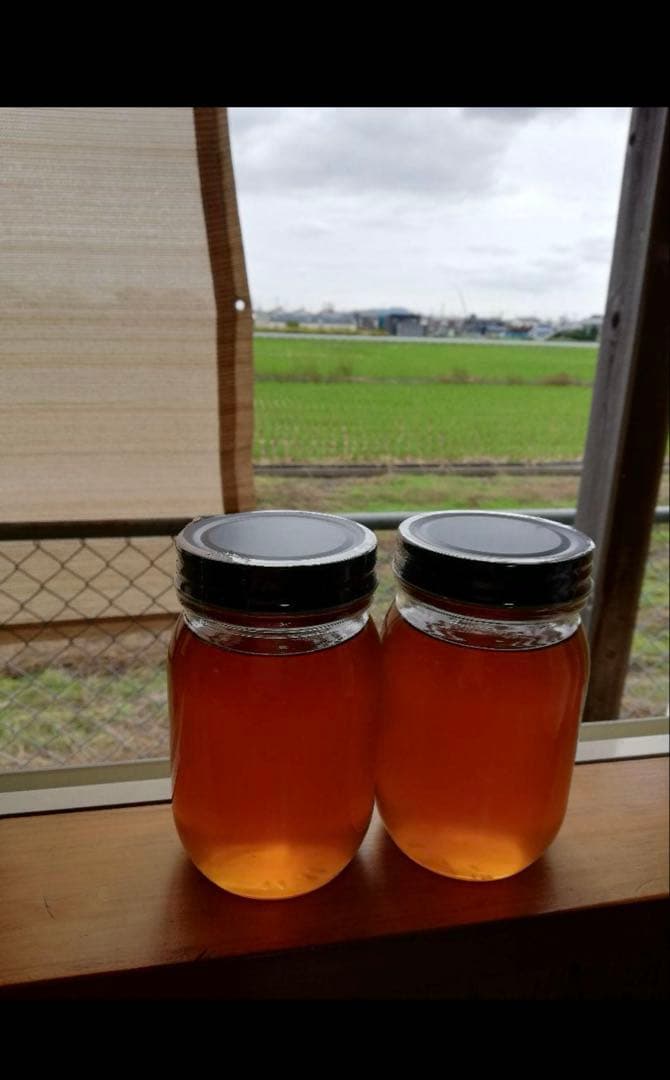 100%天然生ハチミツ熟成もの　日本ミツバチの蜂蜜620g✖️２本