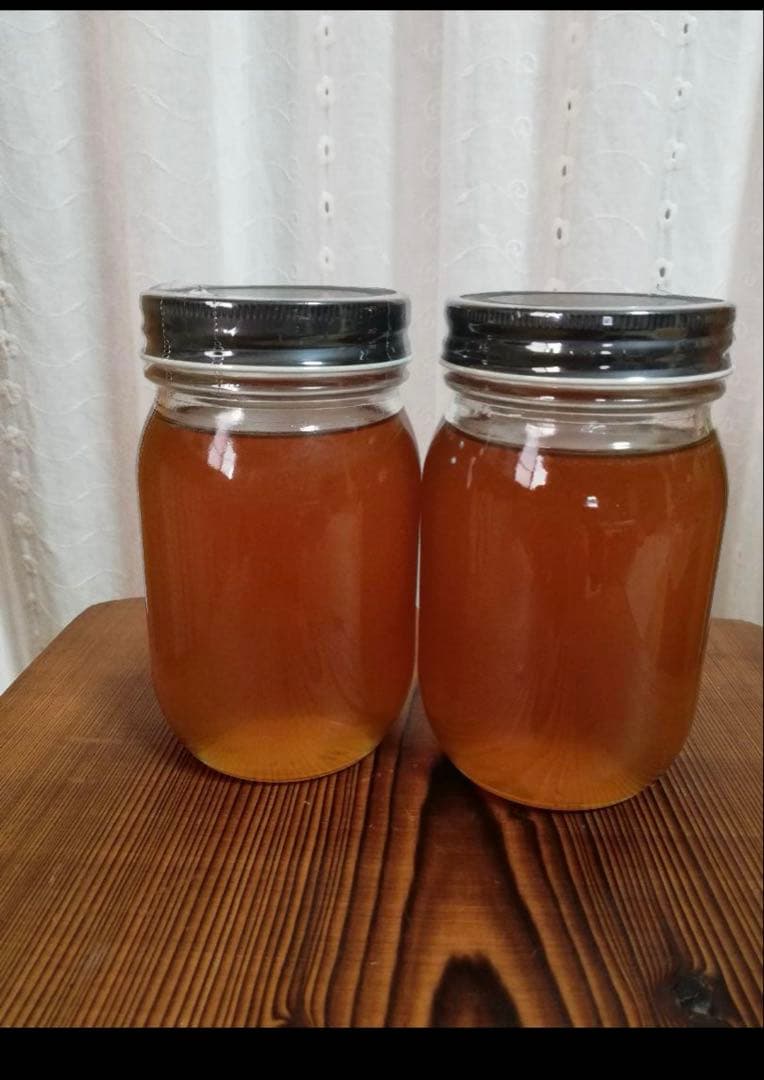 100%天然生ハチミツ熟成もの　日本ミツバチの蜂蜜620g✖️２本