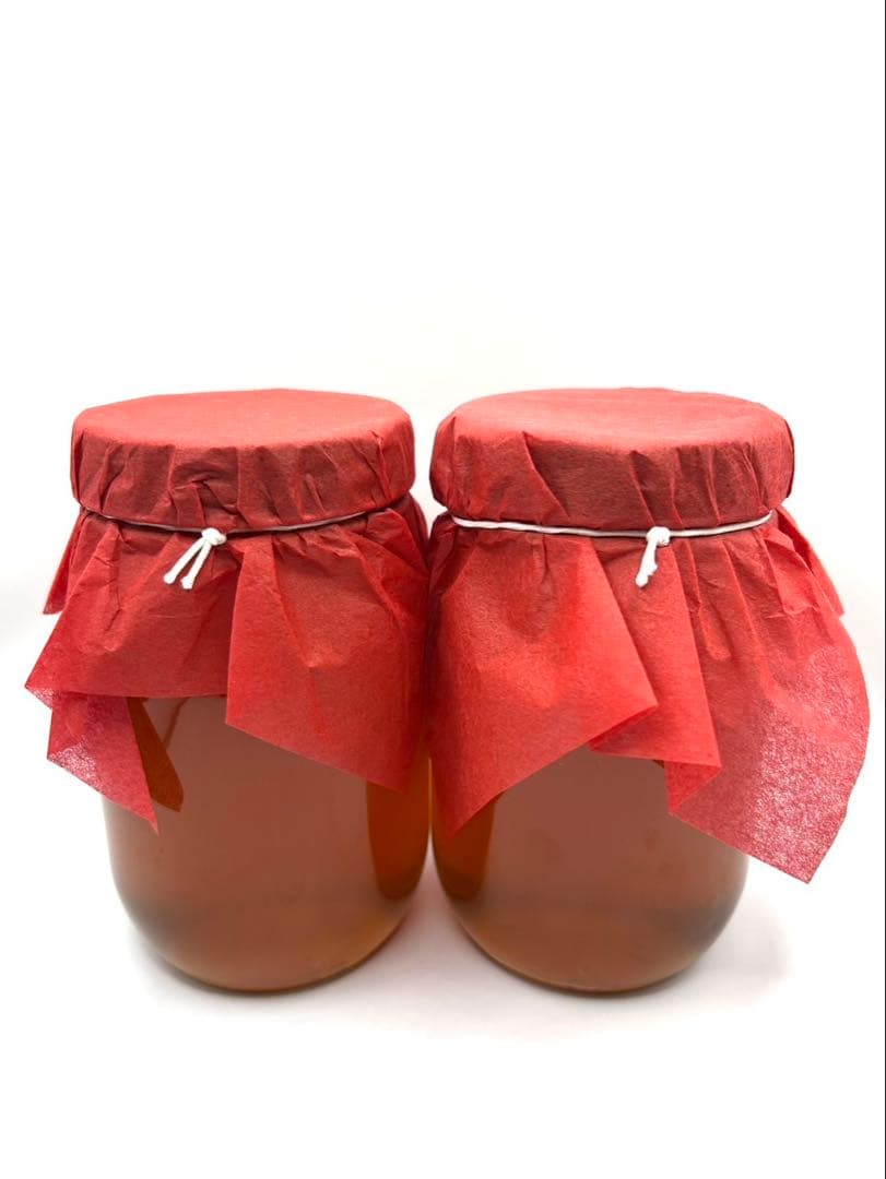 100%天然生ハチミツ熟成もの　日本ミツバチの蜂蜜620g✖️２本