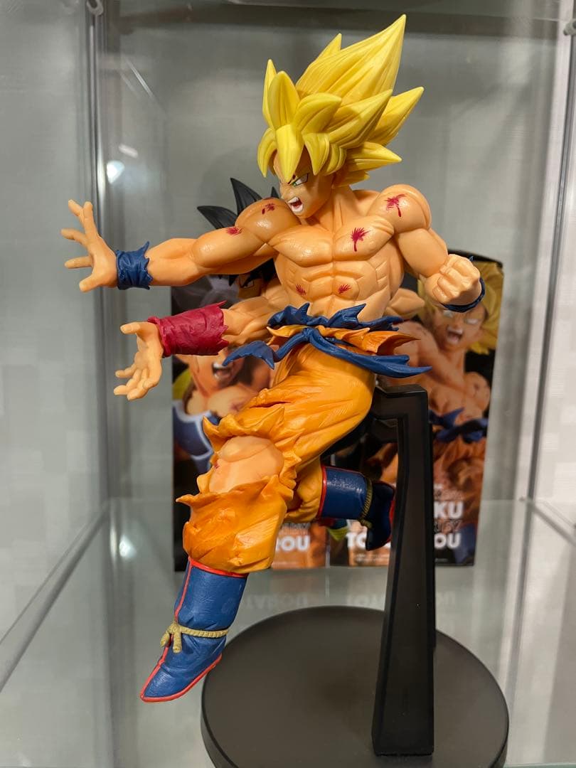 ドラゴンボール超　とよたろうが描いてみた‼︎-親子かめはめ波- 2種