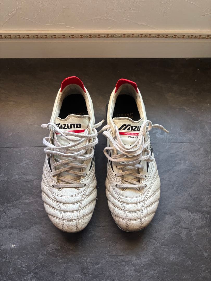 【chi4さん専用】モレリアネオ4