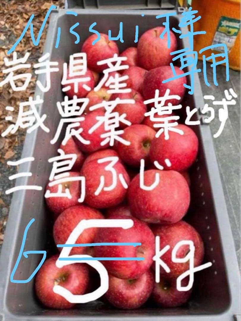 岩手県産減農薬葉とらず三島系サンフジりんご6kg