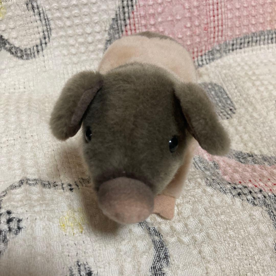 kosen ケーセン　ぬいぐるみ 豚　ぬいぐるみ　中古品　①