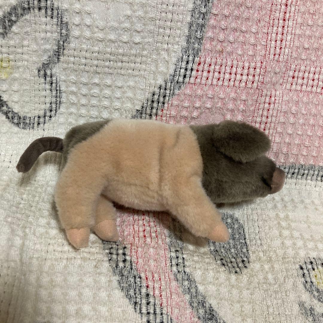 kosen ケーセン　ぬいぐるみ 豚　ぬいぐるみ　中古品　①