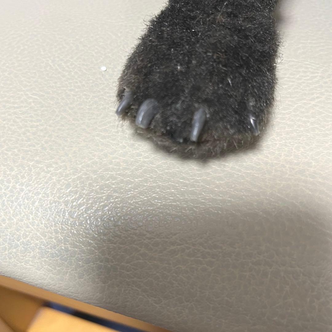 アートドール アカギツネ　狐　キツネ　ハンドメイド　海外作家様　リアルサイズ