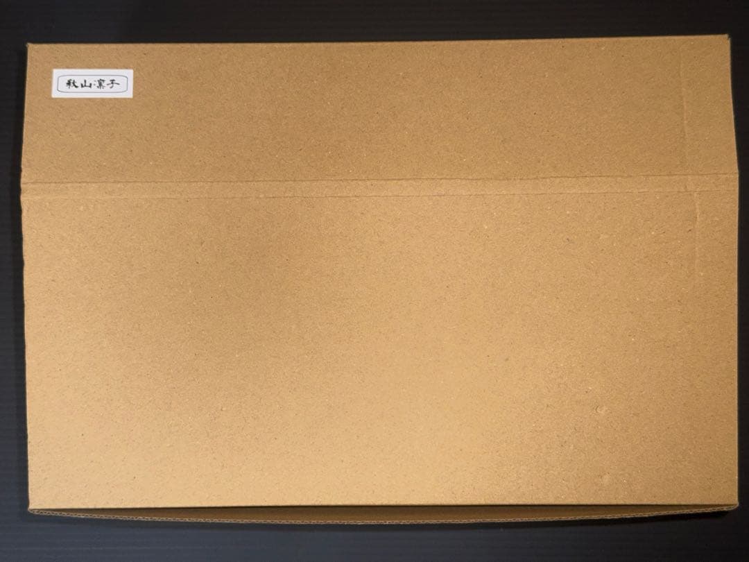 対魔忍RPG 秋山凛子 ガレージキット ワンフェス