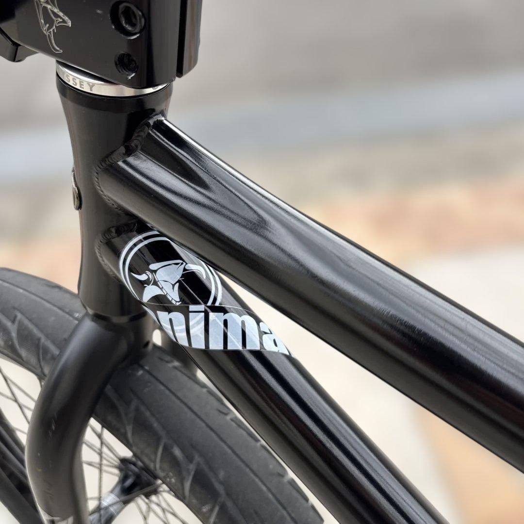 テンプルトンフレーム