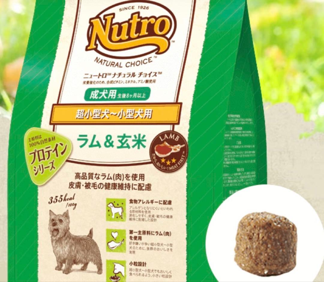 Nutro ラム&玄米 超小型犬〜小型犬用16kg