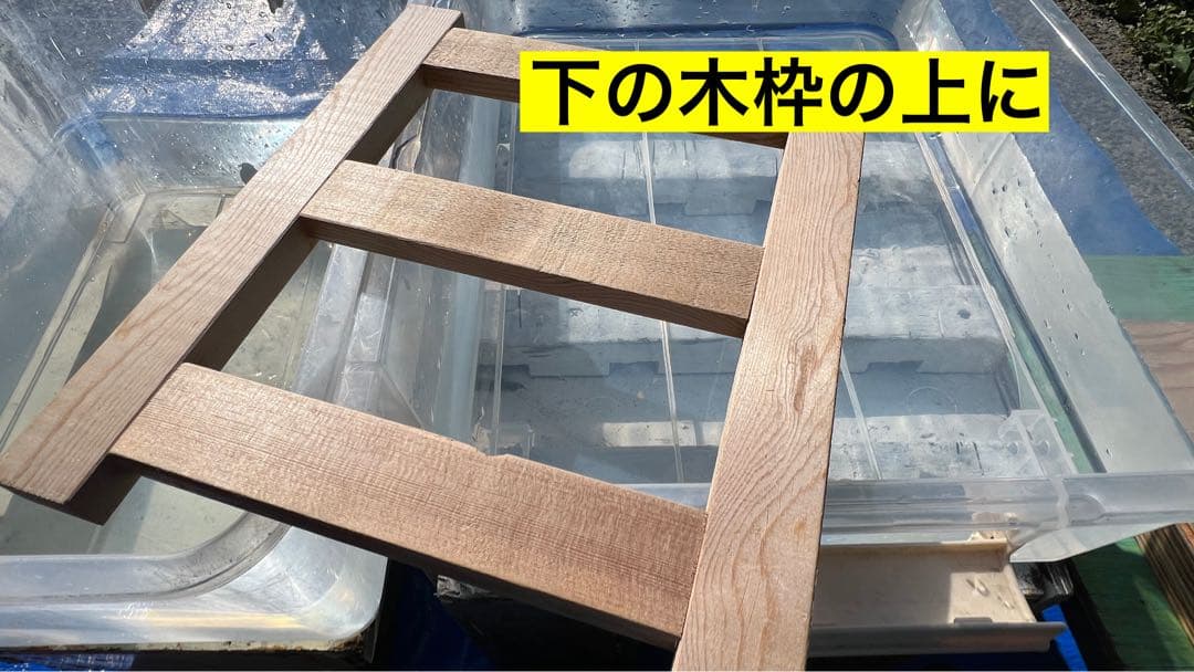 mi 様　【送料無料】新春はばのり5枚入り4セット