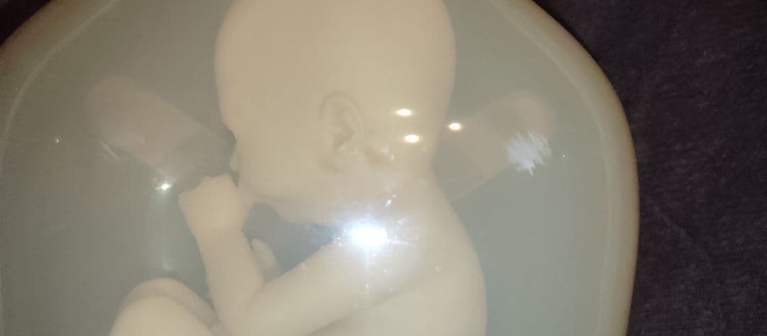 デス・ストランディング BBポッド