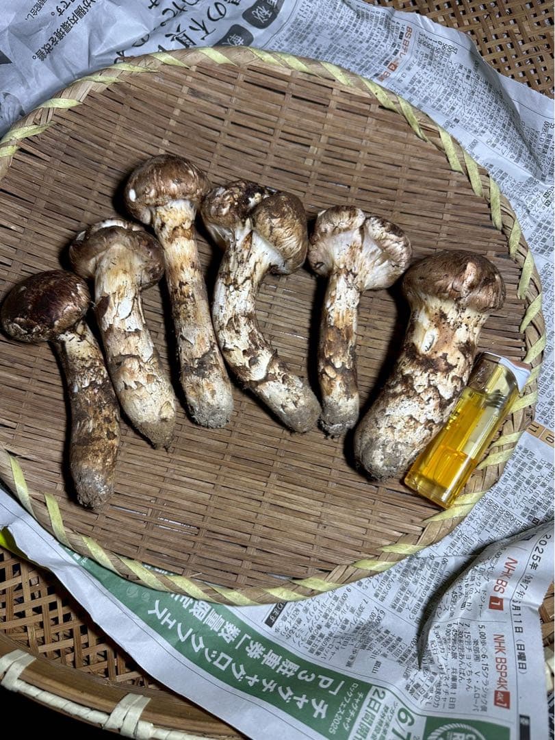 ①岩手県下閉伊郡産　10/12収穫松茸330g