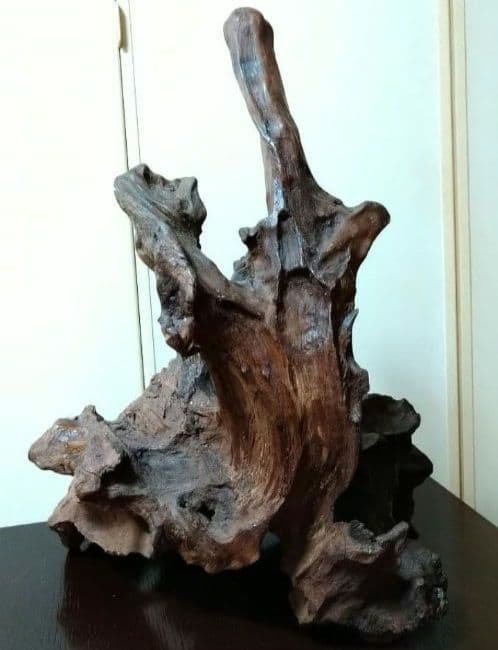 流木 天然木 枯れ木 切り株 オブジェ 床の間 飾り 希少 アート