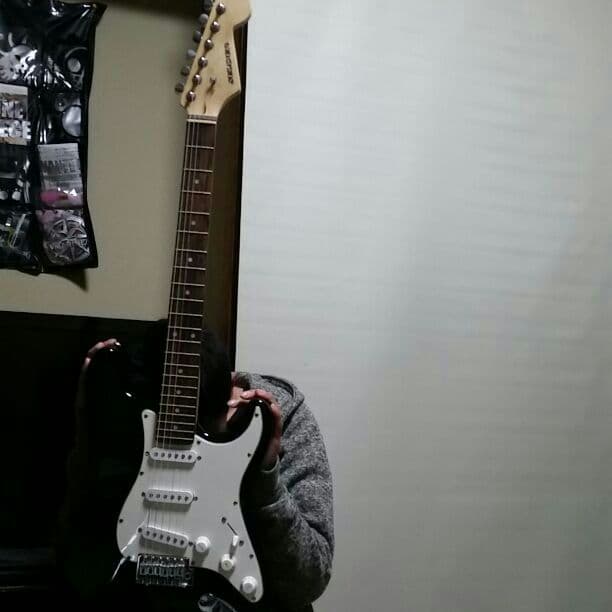 ギター、SELDERです