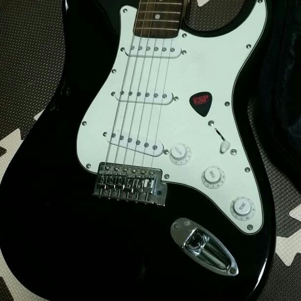 ギター、SELDERです