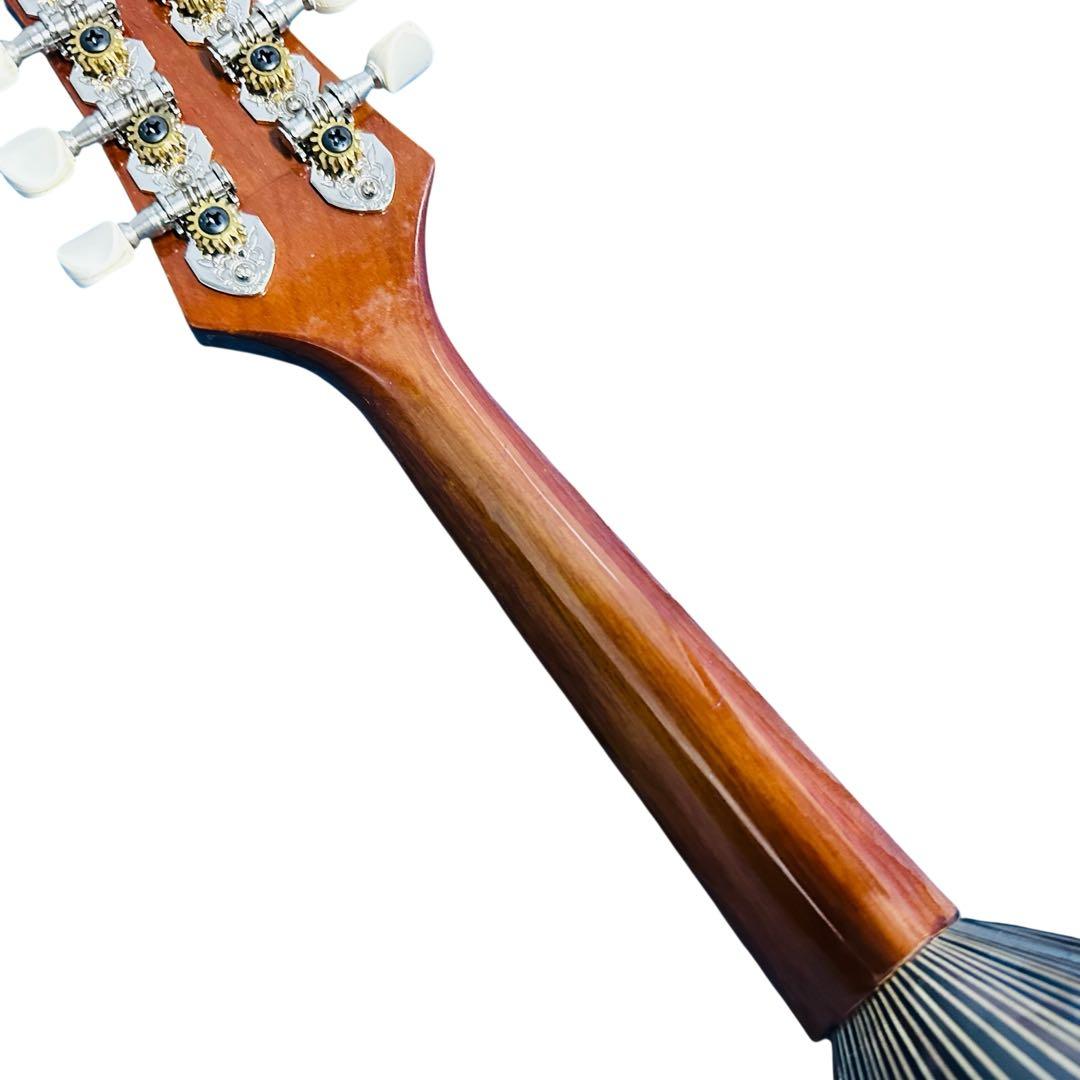 Venezia マンドリン　M-30 石川捷二郎　ハードケース付