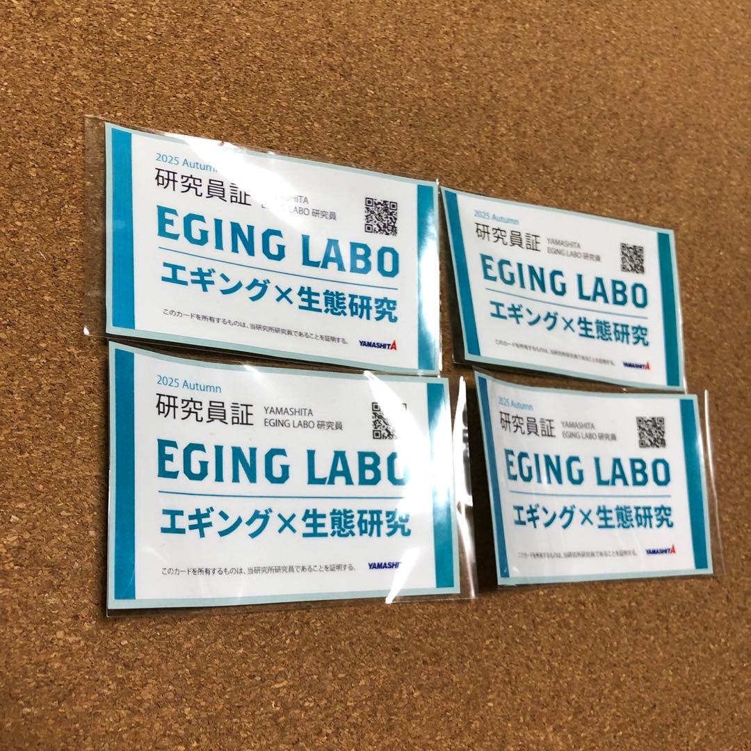 ヤマシタ エギ王K エギングラボ ポラマジ虹 ポラマジメジナ ルアー エギ 餌木